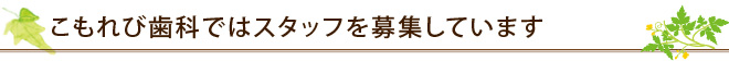 こもれび歯科ではスタッフを募集しています