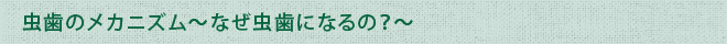 虫歯のメカニズム～なぜ虫歯になるの？～