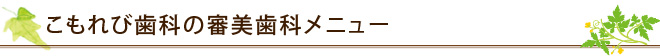 こもれび歯科の審美歯科メニュー