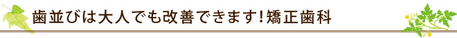 歯並びは大人でも改善できます！矯正歯科