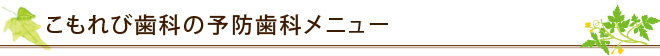 こもれび歯科の予防歯科メニュー